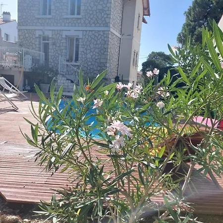 Appartement Renove Et Cosy Au Calme Royan Exterior photo